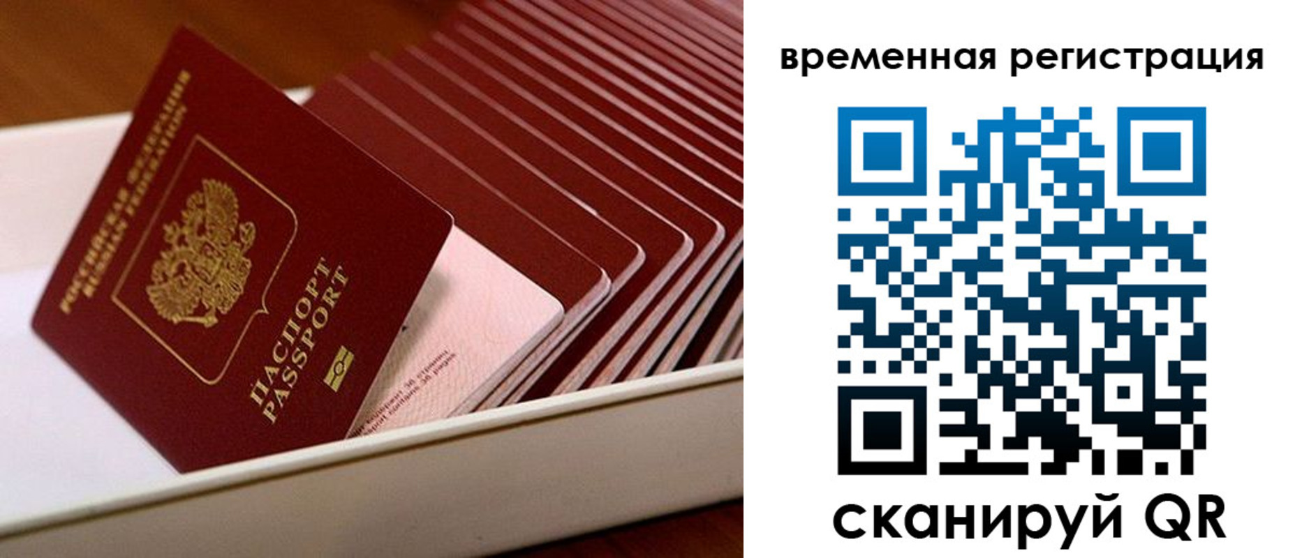 прописка гарантия в Казани